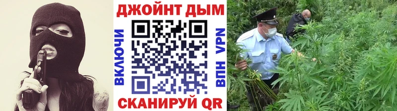 Купить закладки  Тверь  Марихуана план 